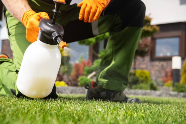 Best Exterminator Services  in Evans, GA