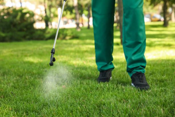 Best Pest Control Cost  in Evans, GA