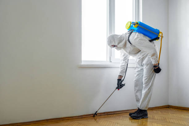 Best Pest Removal Services  in Evans, GA