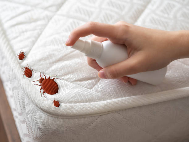 Best Pest Inspection Near Me  in Evans, GA